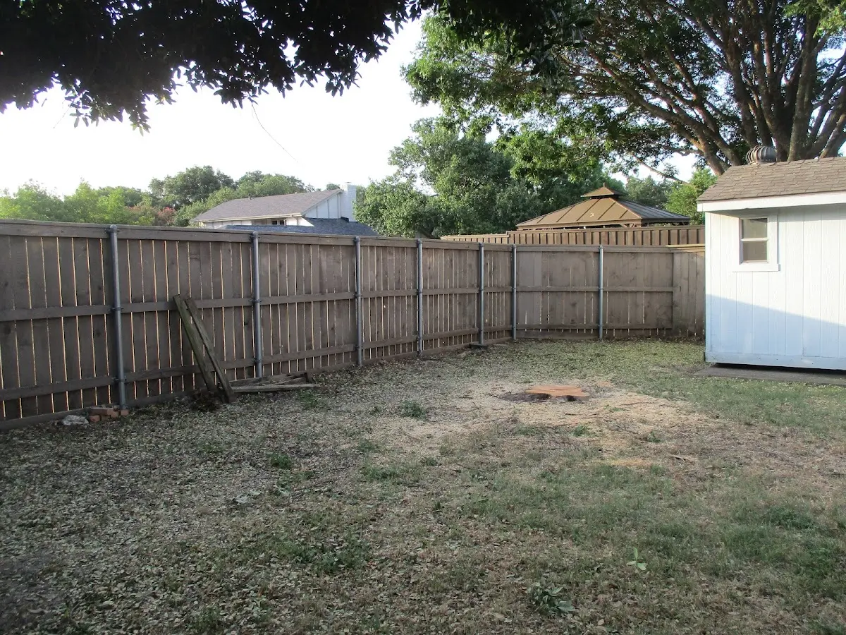 Cleared yard after professional tree removal in Barren Springs