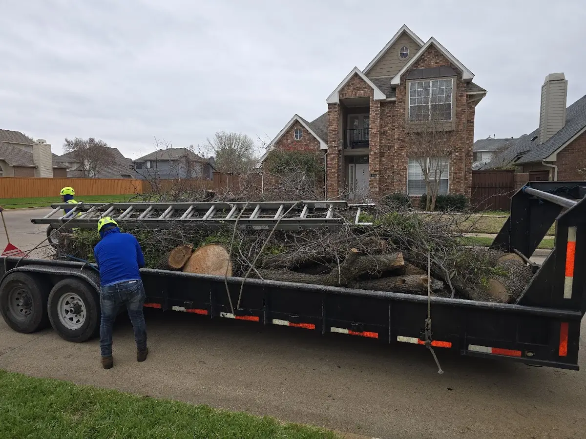 Expert Tree Pest Control with proper safety equipment in Barren Springs